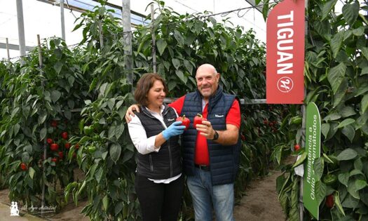Bernabé con Ana Garcés, técnica comercial de Hazera / agroautentico.com