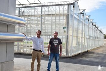 Las mayores calderas agrícolas con biomasa se instalan en Babyplant con SDC