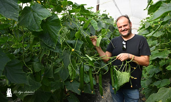 Antonio Moreno, agricultor almeriense, con la variedad Tanker / agroautentico.com