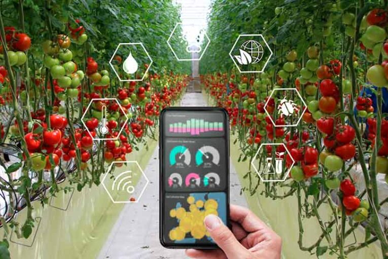 Campomar y Tecnova crean el curso 'Grower para cultivos de alto rendimiento'