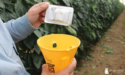 CeratiProtect de SEDQ y Entonova / agroautentico.com