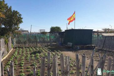 España sin agricultura, ante el abismo de importar las ensaladas