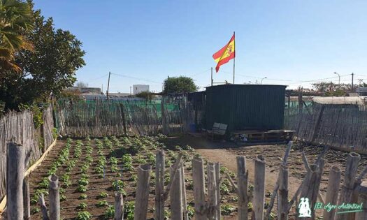 Huerto de lechugas. España sin agricultura / agroautentico.com