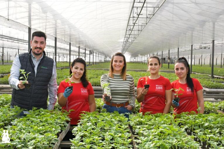 El Plantel garantiza con análisis plántulas libres de hongos, virosis y bacterias