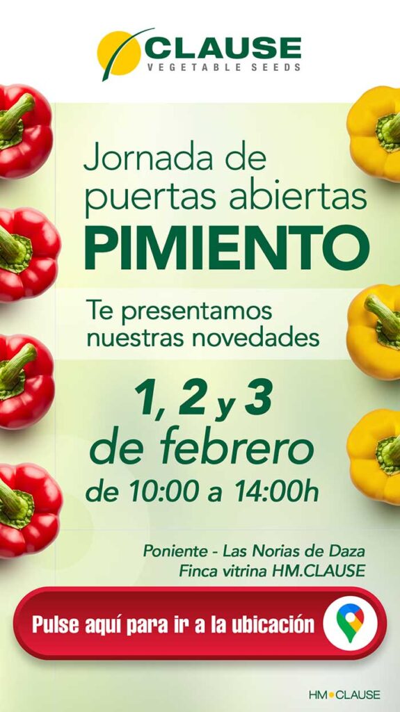 Jornadas de pimiento california de HM Clause-agroautentico.com