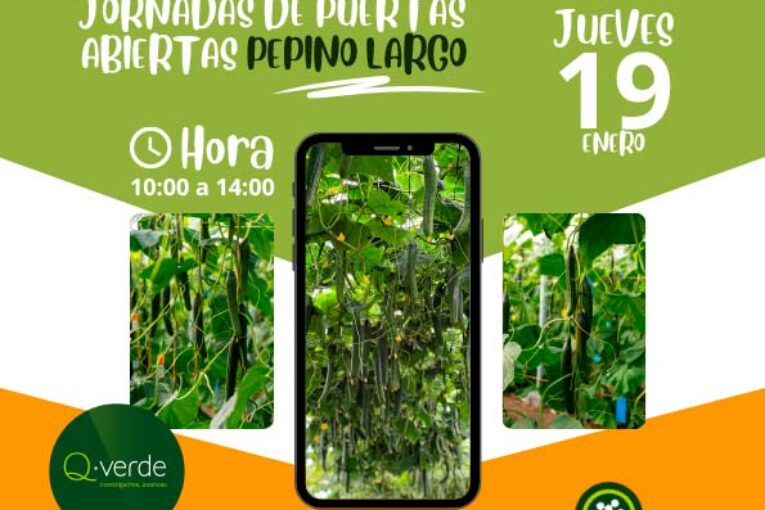 Día 19 de enero. Jornada de pepino de Nunhems