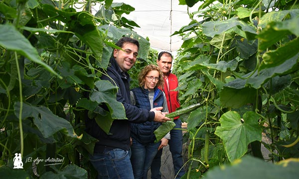 José Antonio Heras, Nunhems, con María del Mar, agricultora, y Jesús, técnico de Murgiverde / agroautentico.com