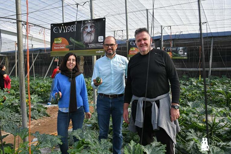 Syngenta saca el primer calabacín de invierno resistente a Nueva Delhi