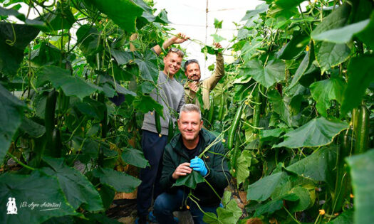 Los hermanos José y Francisco Membrilla, agricultores roqueteros de ecológico en Murgiverde, con Manuel Martínez / agroautentico.com