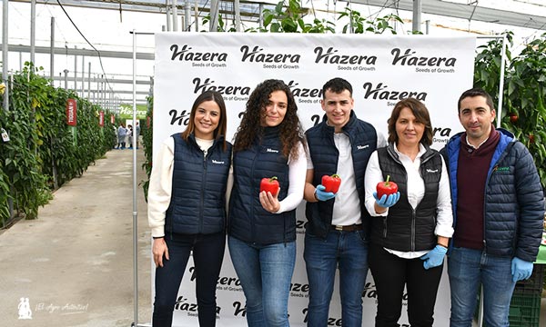 Jornadas de puertas abiertas de Hazera desarrolladas esta semana en la finca de Bernabé en Roquetas / agroautentico.com