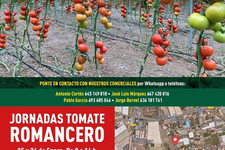 Días 25 y 26 de enero. Jornada de Romancero de Ramiro Arnedo