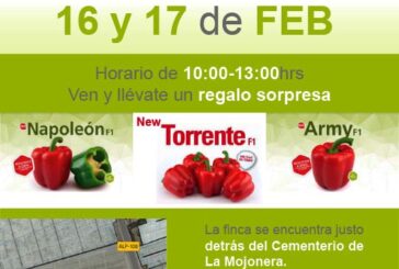 Días 16 y 17 de febrero. Jornadas de pimiento de Argenta Seeds