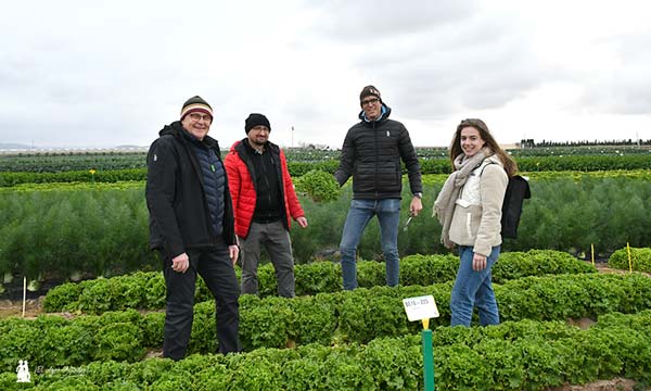 Batavias. Oscar Peñalver con dos breeder de pepino de Bejo y con la responsable de ventas de lechuga en Europa / agroautentico.com