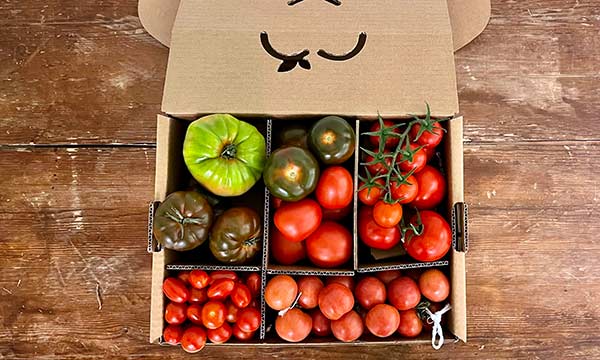 Caja saludable. Selección tomate / agroautentico.com