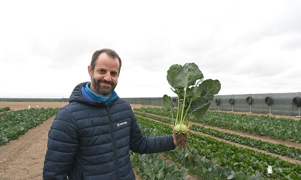 Nacho Suárez con la nueva variedad de colirábano / agroautentico.com