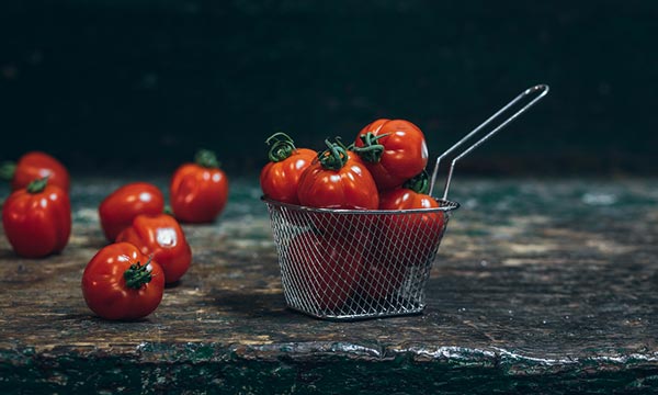 Semillas Fitó lanza en Fruit Logistica su compromiso de futuro con el lema “Mejorar la alimentación está en nuestros genes”-agroautentico.com