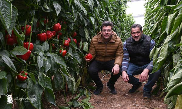 Germán Ureña con Oscar Manrique, técnico de Indasol / agroautentico.com