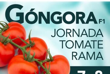 Días 7 y 8 de febrero. Jornadas de tomate en rama Góngora