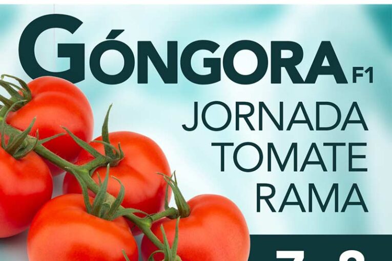 Días 7 y 8 de febrero. Jornadas de tomate en rama Góngora
