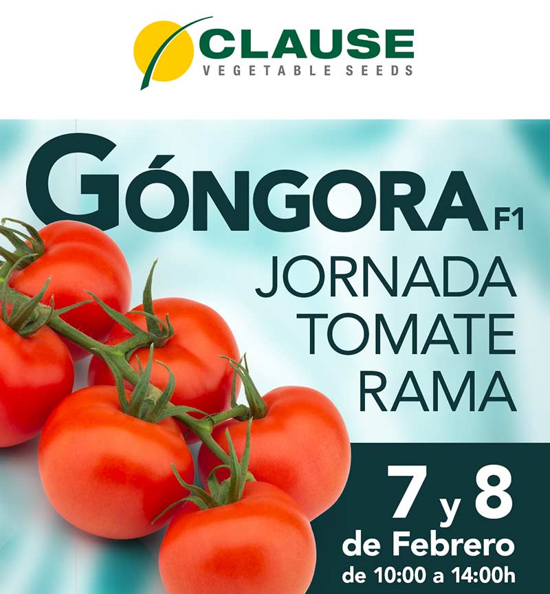 Días 7 y 8 de febrero. Jornadas de tomate en rama Góngora