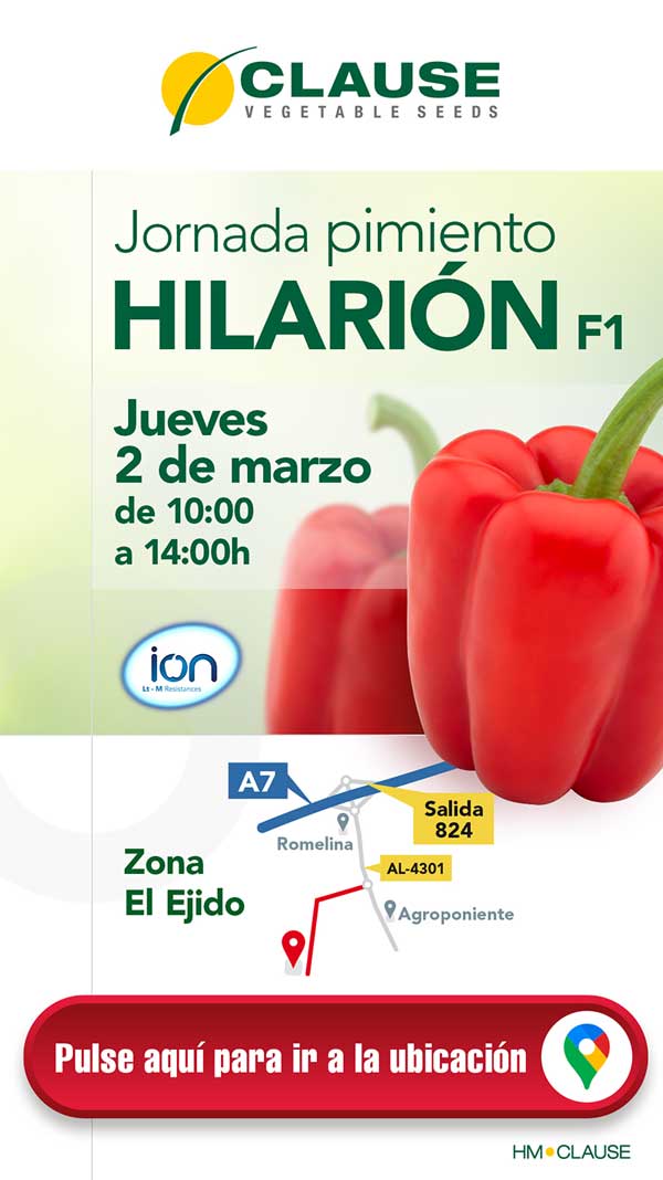 Pimiento Hilarión de HM Clause - agroautentico.com