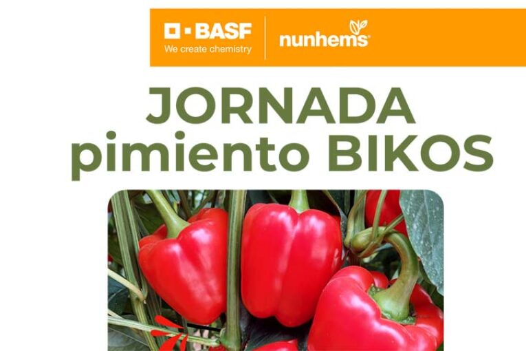 Día 21 de febrero. Jornada de pimiento Bikos