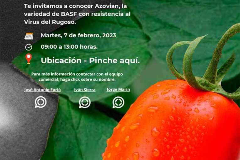 Día 7 de febrero. Jornada de tomate Azovian de Nunhems