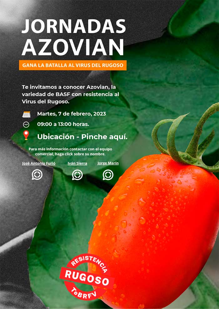 Día 7 de febrero. Jornada de tomate Azovian de Nunhems