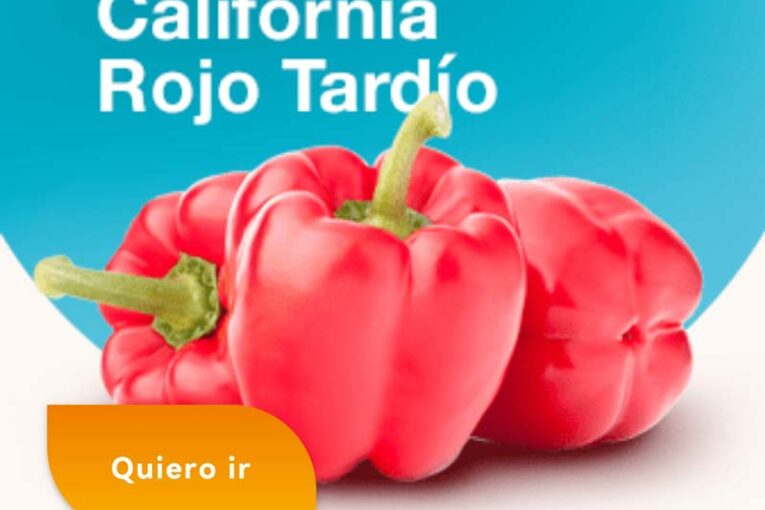Días 9 y 10 de febrero. Jornadas de pimiento de Syngenta