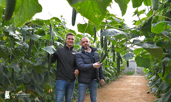 José Miguel y Antonio, de Cristalplant, con los pepinos demoledores / agroautentico.com