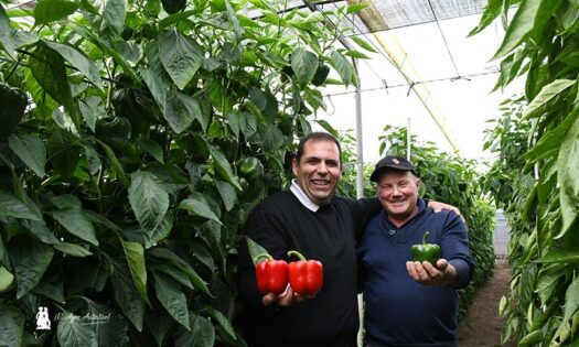 José Ramón Martínez, Nunhems, con Esteban Martínez (padre) en las jornadas de BASF / agroautentico.com