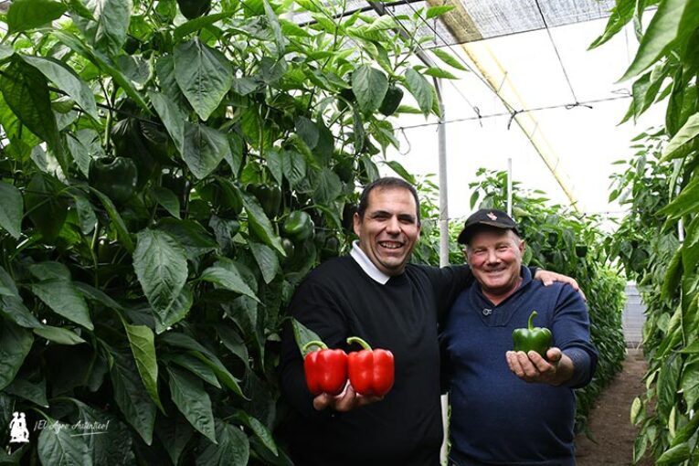 Una cuarta generación de agricultores y el pimiento Arkos