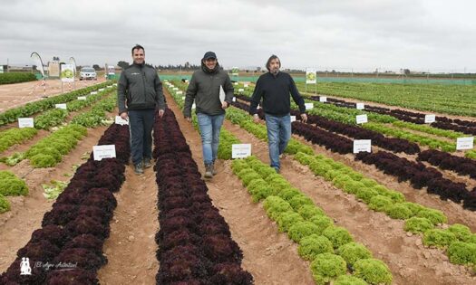 Finca experimental de Ramiro Arnedo en el campo de Cartagena (Murcia) / agroautentico.com
