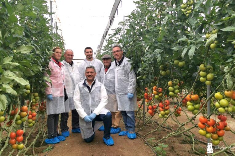 Tomate Góngora: la rama G que no se hace esperar