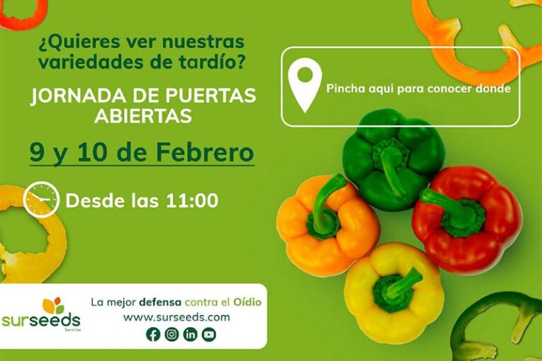Días 9 y 10 de febrero. Jornada de pimientos de Sur Seeds