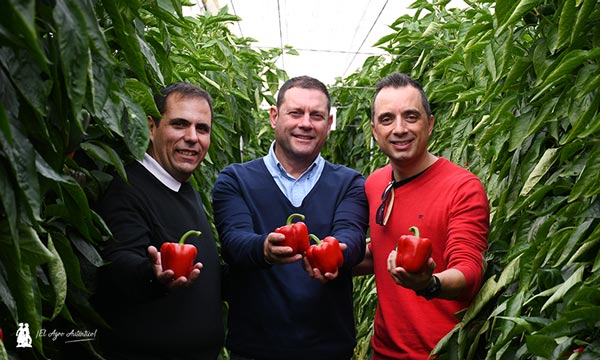 Miembros de la compañía BASF que trabaja los hortícolas a través de la marca Nunhems. José Ramón Martínez, Paco Marín e Iván Sierra / agroautentico.com