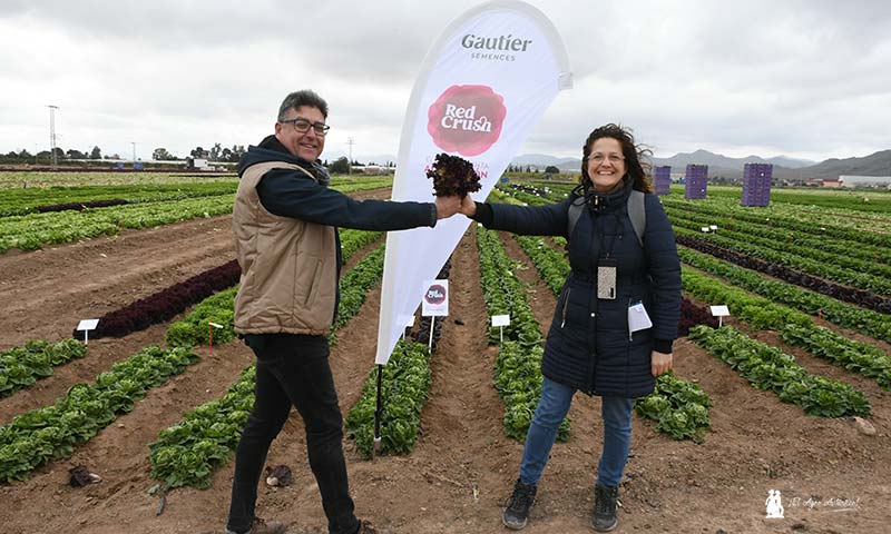 Manuel Martínez y Ana Rubio con las hojas Red Crush de Gautier Semillas / agroautentico.com