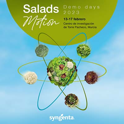 Salads Motion / agroautentico.com