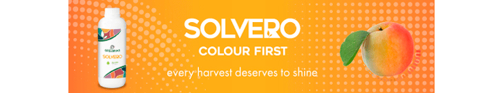 Green Has divisor 5