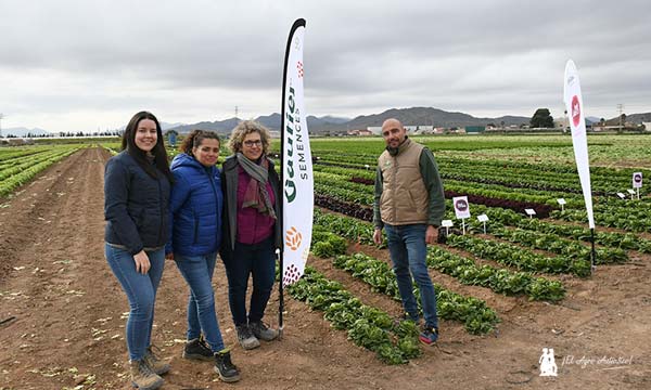 Técnicas de campo de Huerta Gama con el responsable de Gautier en el campo de Cartagena / agroautentico.com