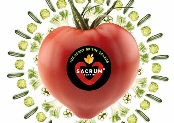 Tomate Sacrum, un tomate que recuerda el sabor de los tomates que cultivaban nuestros abuelos / agroautentico.com