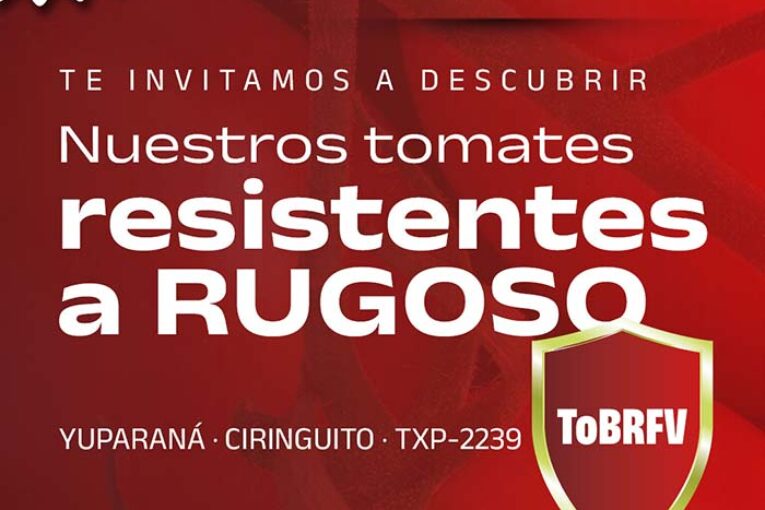 Días 15 y 16 de febrero. Jornadas de tomate con resistencias a rugoso de Meridiem Seeds
