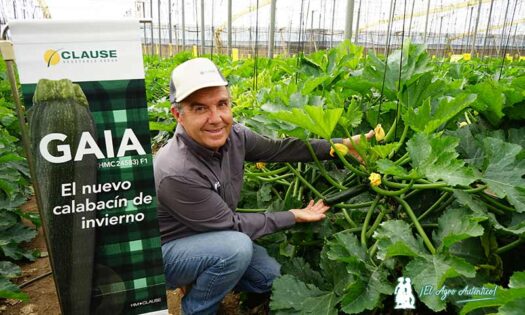 Andrés Pérez con calabacín Gaia / agroautentico.com