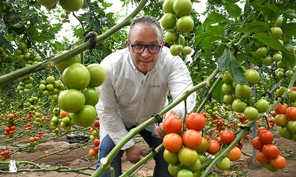 Víctor López, responsable del área de hortícolas en Certis Belchim / agroautentico.com