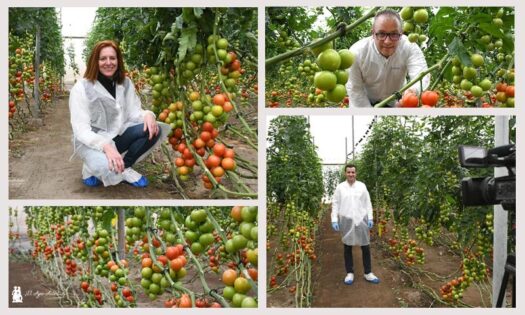 bioracionales Certis Belchim / agroautentico.com