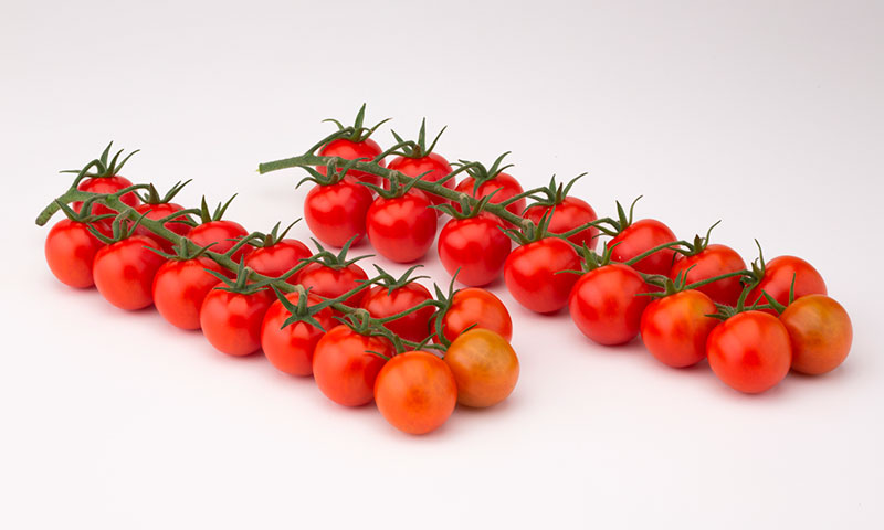 HM.Clause presenta Intuitivo F1 y Curioso F1, sus primeras variedades con resistencia al virus del rugoso del tomate (ToBRFV) -agroautentico.com