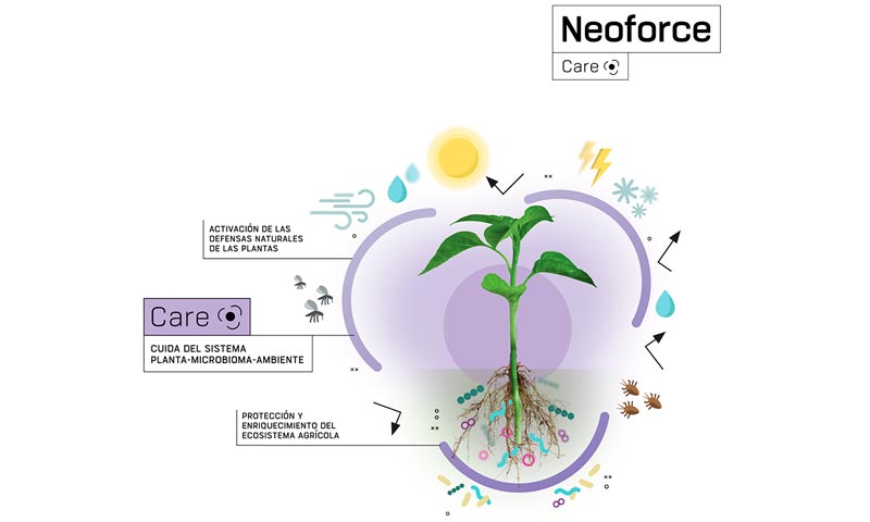 Fertiberia TECH lanza una nueva línea de productos biotecnológicos