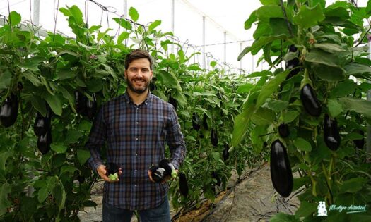 Pepe Jiménez, especialista de cultivo de berenjena de Rijk Zwaan / agroautentico.com