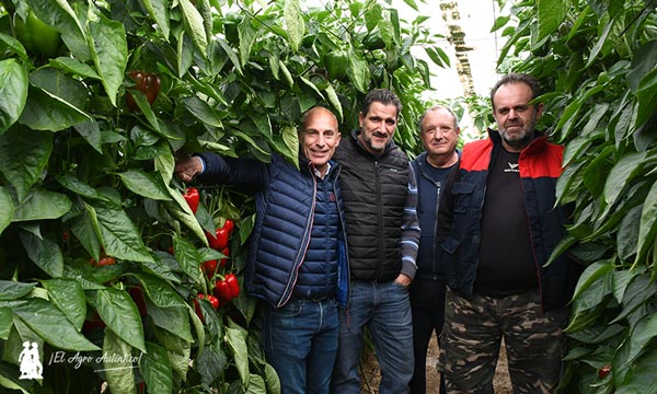 José Marín, Syngenta, con José Enrique, agricultor de Indasol, Óscar, técnico, y Francisco, de AFE / agroautentico.com
