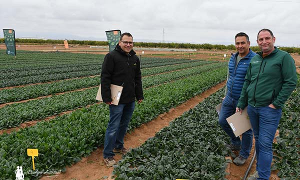 José Carlos Grajeda, Tozer Ibérica; con Francisco Javier y Óscar, productores murcianos de espinacas / agroautentico.com